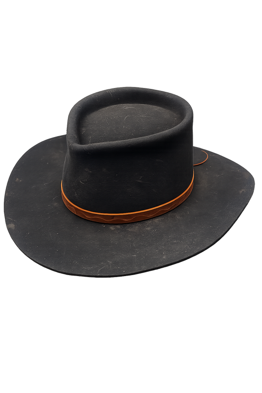 Black fedora hat with brown band on a white background