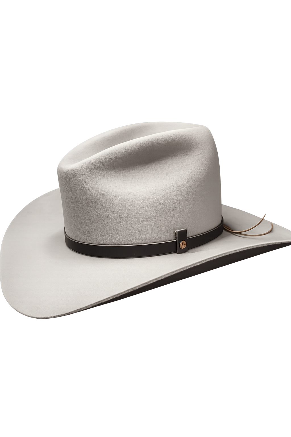 The Gus, cowboy hat 